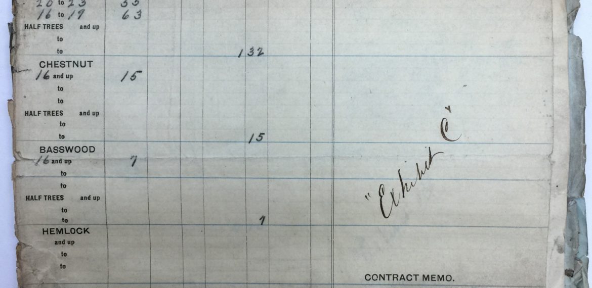 W. M. Ritter Lumber Company Timber Report 1907