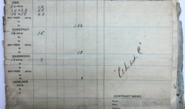 W. M. Ritter Lumber Company Timber Report 1907