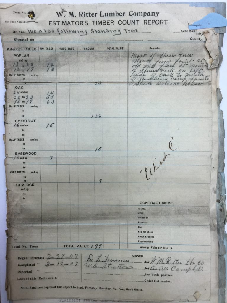 W. M. Ritter Lumber Company Timber Report 1907