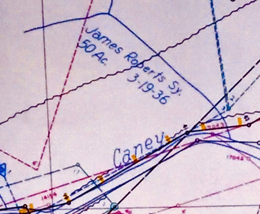 Cornelius Roberts' Descendants in Pike